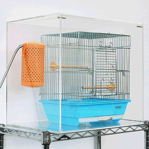 bird-cage-case2-500-1.gif
