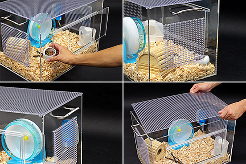 hamster-case500_1.jpg