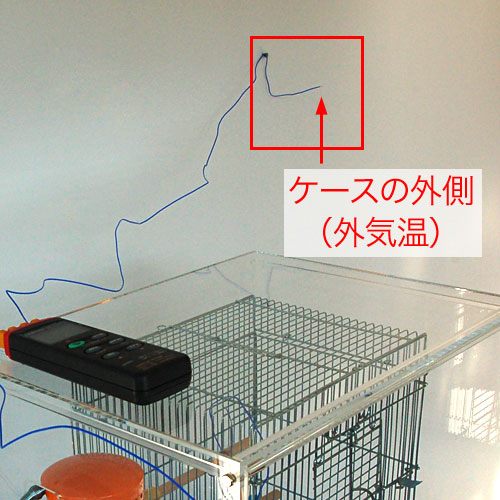 bird-cage-case2-test-4.jpg
