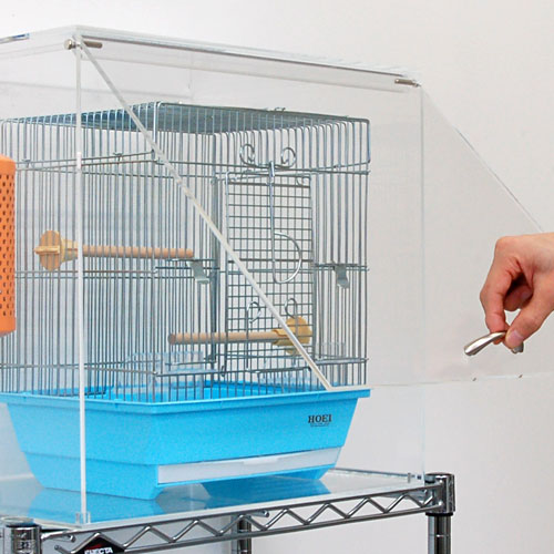 bird-cage-case2-500.jpg