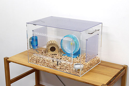 hamster-case_prototype5-1.jpg