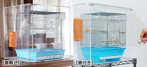 bird-cage-case_20161013.jpg