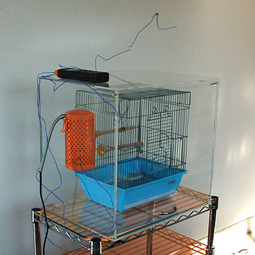 bird-cage-case2-test-1.jpg