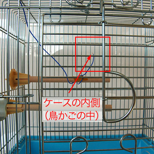 bird-cage-case2-test-2.jpg