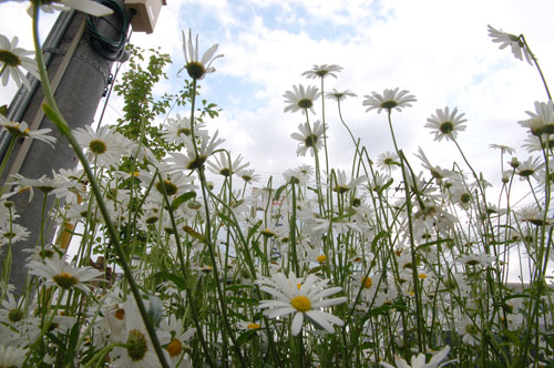 120511_1.jpg