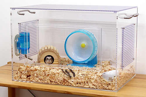 hamster-case500.jpg